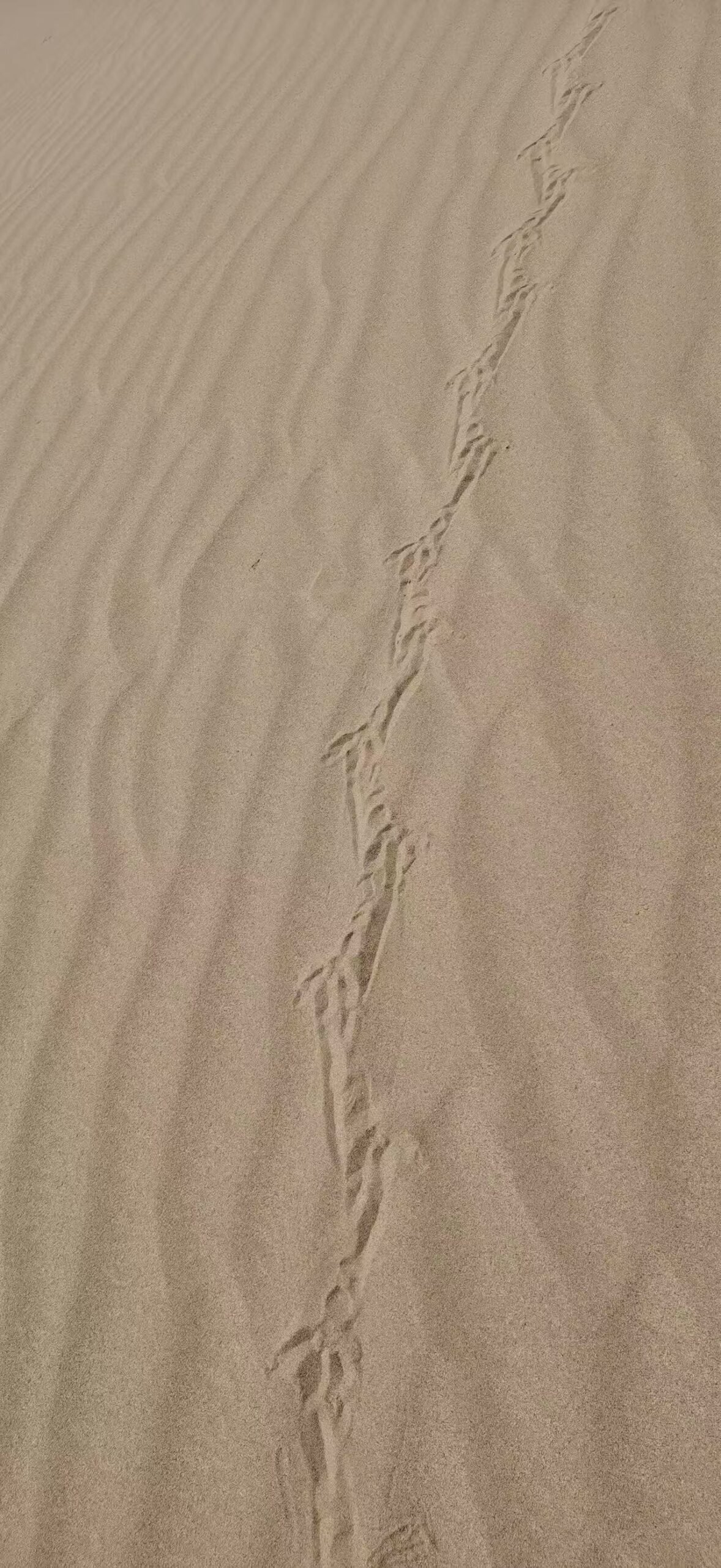 8f185cde98385a05875075d32a257e20