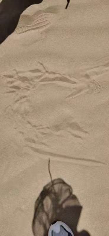 d14f2e8d9c351e1cb8f821ab05e10045